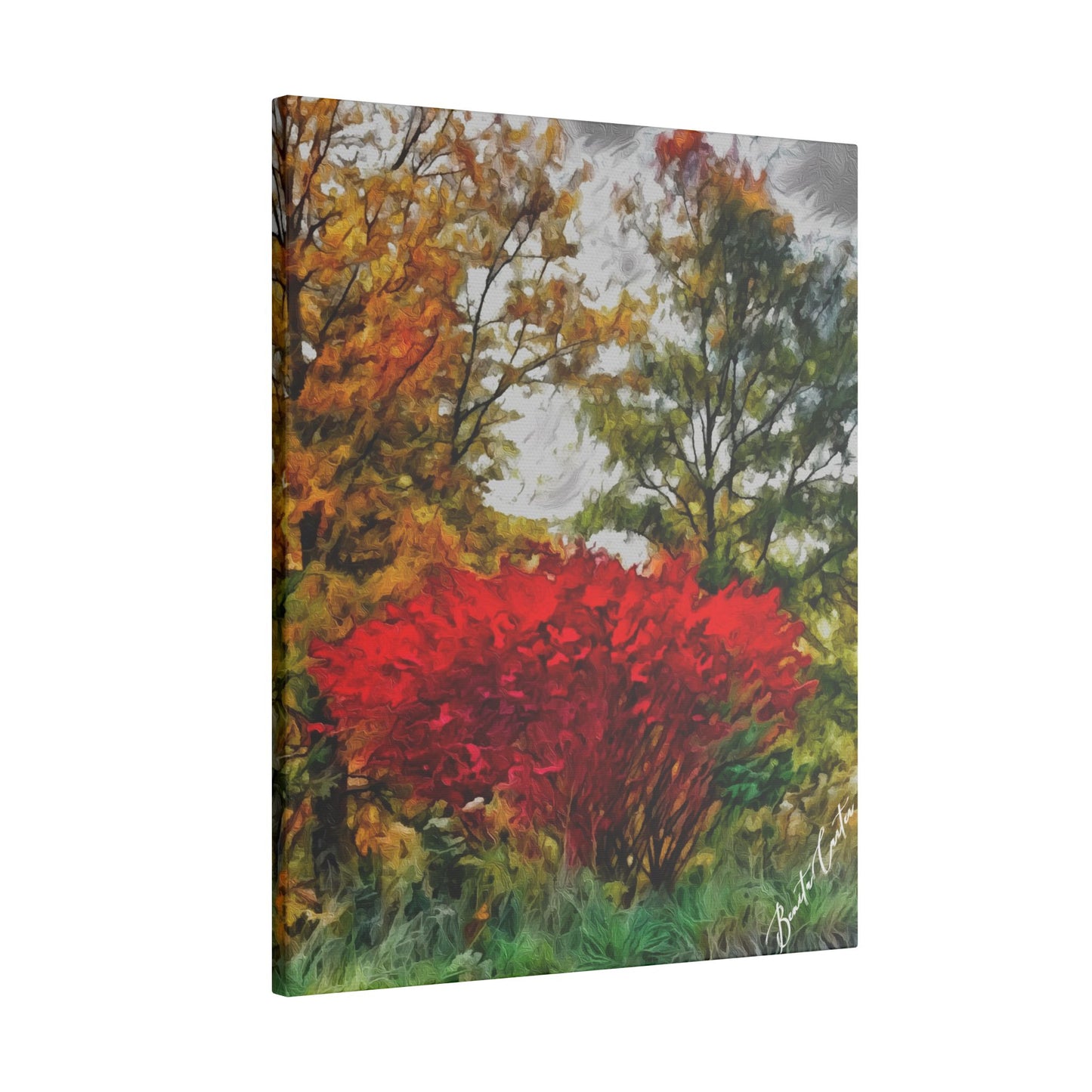The Burning Bush
