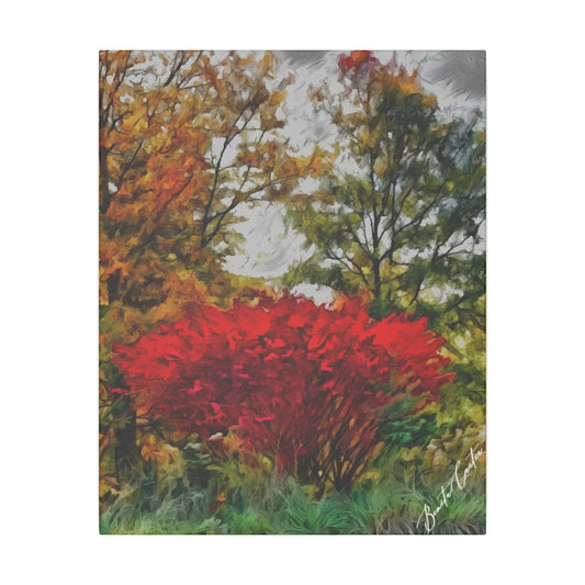 The Burning Bush